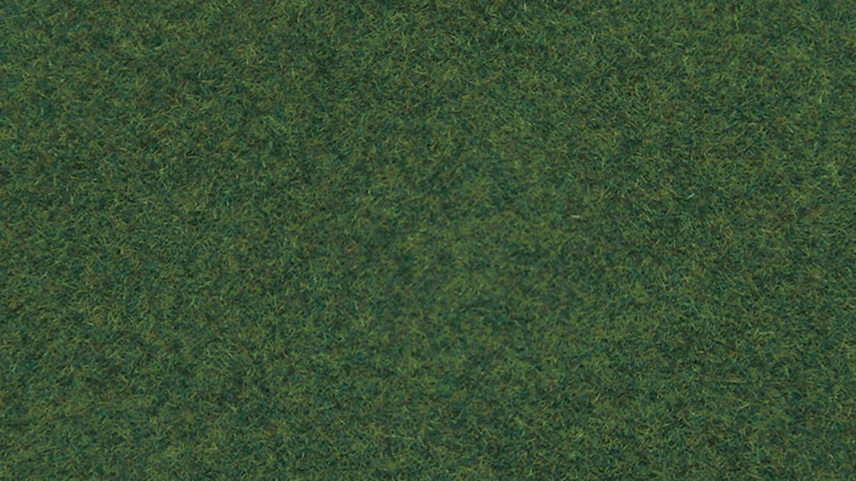 Wild Grass, All Scales, NOCH 07081
