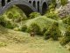 Wild Grass, All Scales, NOCH 07082