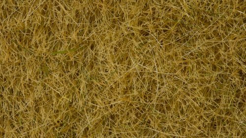 Wild Grass, All Scales, NOCH 07101