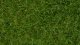 Wild Grass, All Scales, NOCH 07102