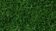 Wild Grass, All Scales, NOCH 07106