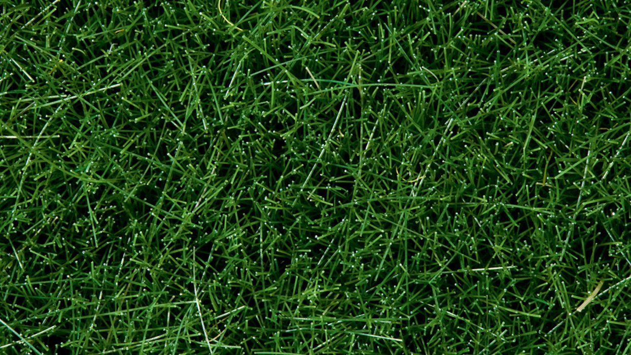 Wild Grass, All Scales, NOCH 07106