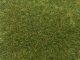 Wild Grass, All Scales, NOCH 07118