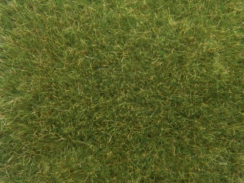 Wild Grass, All Scales, NOCH 07118