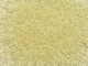 Wild Grass, All Scales, NOCH 07119