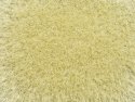 Wild Grass, All Scales, NOCH 07119