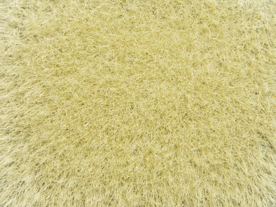 Wild Grass, All Scales, NOCH 07119