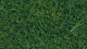 Wild Grass, All Scales, NOCH 07120