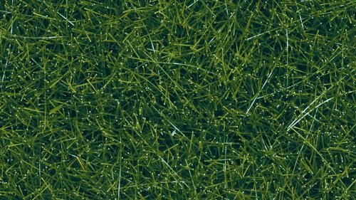 Wild Grass, All Scales, NOCH 07120
