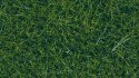 Wild Grass, All Scales, NOCH 07120