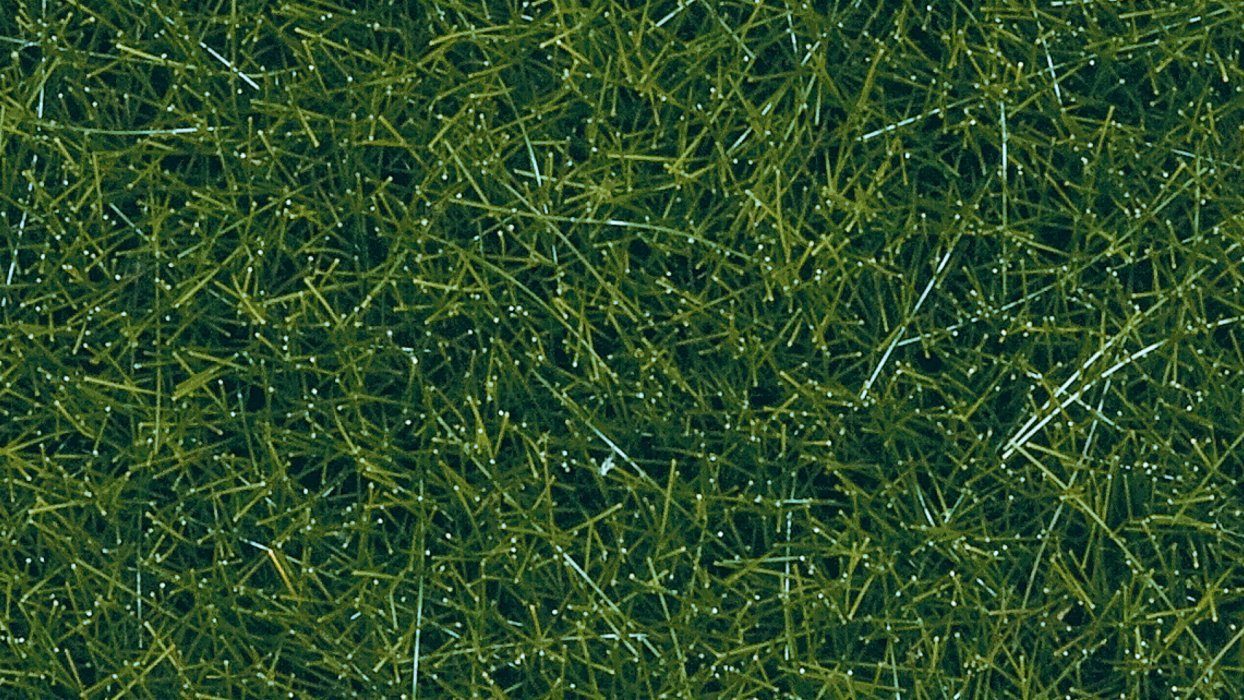 Wild Grass, All Scales, NOCH 07120