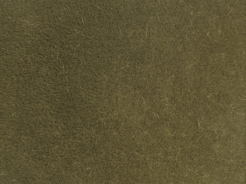 Wild Grass, All Scales, NOCH 07122