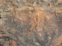 Wrinkle Rocks “Sandstone”, All Scales, NOCH 60304