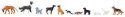 Dogs and Cats -- 7 Dogs, 4 Cats, HO, Faller Gmbh 151902