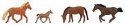 Horses -- Brown pkg(4), HO, Faller Gmbh 151912