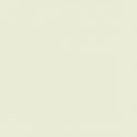 Military Acrylic Colors - 1oz 29.6mL -- (FS 36622) Gray (for Southeast Asia Camouflage), All Scales, Tru-Color Paint 1211
