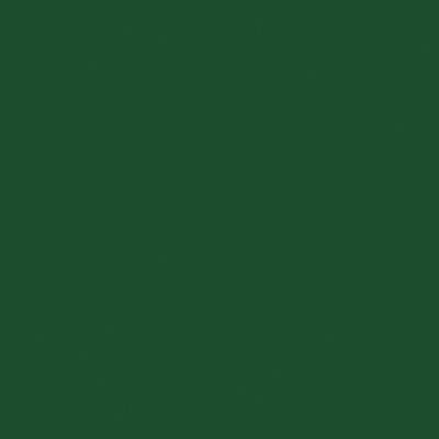 Railroad Color Acrylic Paints - 2oz 59.1mL -- Railway Express Agency Green, All Scales, Tru-Color Paint 2078