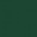 Railroad Color Acrylic Paints - 2oz 59.1mL -- Southern Railway Green, All Scales, Tru-Color Paint 2128