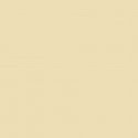 Water-Based Acrylic Paint 1oz 29.6ml -- MMP-070 Radome Tan FS 33613, All Scales, Mission Models 70