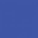 Automotive Color High-Gloss Acrylic Paints - 1oz 29.6mL -- Aqua Blue, All Scales, Tru-Color Paint 555