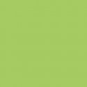 Sprayable Matte Paints - 1oz 29.6mL -- Roof Lime Green, All Scales, Tru-Color Paint 445
