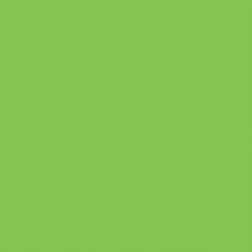 All-Purpose Enamel Paint - 1/4oz 7.4mL Bottle -- Sublime Green, All Scales, Testor Corp 1125