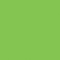 All-Purpose Enamel Paint - 1/4oz 7.4mL Bottle -- Sublime Green, All Scales, Testor Corp 1125