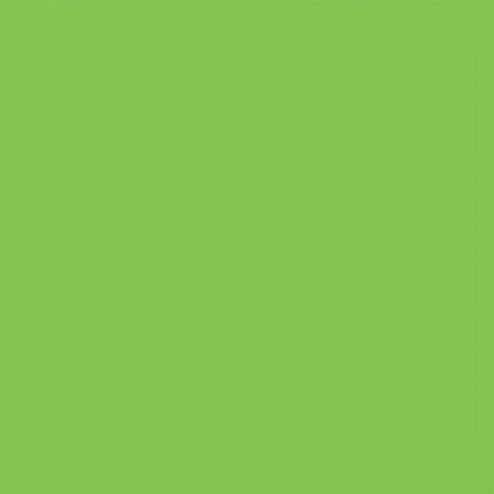 All-Purpose Enamel Paint - 1/4oz 7.4mL Bottle -- Sublime Green, All Scales, Testor Corp 1125