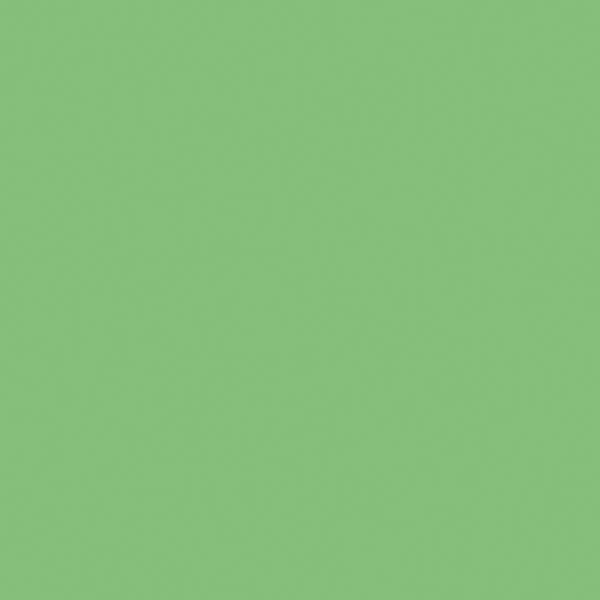Railroad Color Acrylic Paints - 2oz 59.1mL -- Seaboard Air Line Mint Green, All Scales, Tru-Color Paint 2337