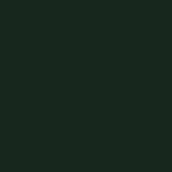 Railroad Color Acrylic Paints - 1oz 29.6mL -- Burlington Northern & Santa Fe Green, All Scales, Tru-Color Paint 62
