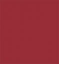 Sprayable Matte Paints - 1oz 29.6ml -- Generic Rust, All Scales, Tru-Color Paint 457