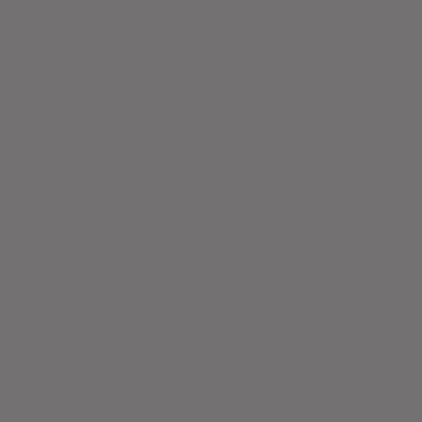 Railroad Color Acrylic Paints - 1oz 29.6mL -- Chicago, Burlington & Quincy Gray 3 (For Bl, All Scales, Tru-Color Paint 331
