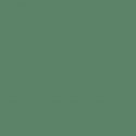 Military Acrylic Colors - 1oz 29.6mL -- (FS 34092) Gunship Green, All Scales, Tru-Color Paint 1217