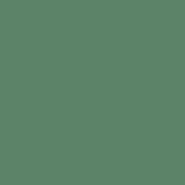 Military Acrylic Colors - 1oz 29.6mL -- (FS 34092) Gunship Green, All Scales, Tru-Color Paint 1217