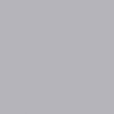 Railroad Color Acrylic Paints - 2oz 59.1mL -- Platinum Mist (Flat), All Scales, Tru-Color Paint 2257