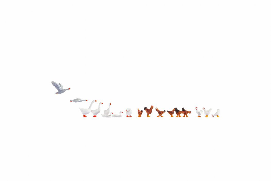 Chickens & Geese -- 6 Chickens & 11 geese, HO, NOCH 15772