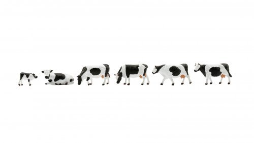 New Cows, black-white, N, NOCH 36733