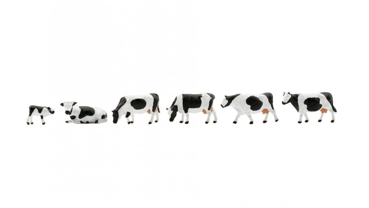 New Cows, black-white, TT, NOCH 45733
