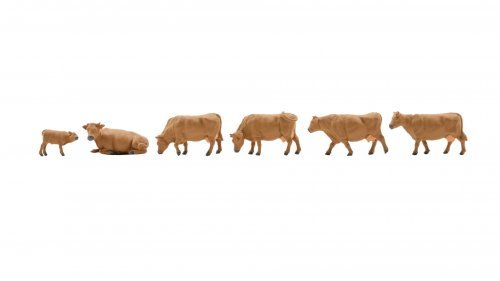 New Cows,&nbsp;brown, N, NOCH 36734