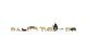 Shepherd and Sheep, N, NOCH 36750