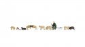 Shepherd and Sheep, N, NOCH 36750