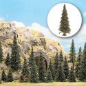 Trees Conifers, N Scale, Busch Gmbh & Co Kg 6577