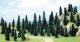Pine Trees, ALL Scales, Busch Gmbh & Co Kg 6597