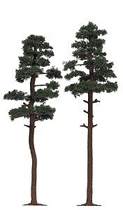 Pine Trees, HO Scale, Busch Gmbh & Co Kg 6143
