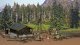 Forest Recreational Accessory Set, HO Scale, Busch Gmbh & Co Kg 6042