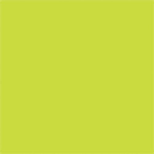 Paint PLA Enamel Flourescent Colors - 1/4oz 7.4mL, ALL Scales, Testor Corp 1177