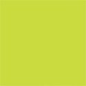 Paint PLA Enamel Flourescent Colors - 1/4oz 7.4mL, ALL Scales, Testor Corp 1177
