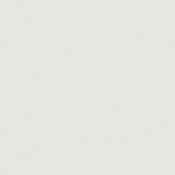 Military Acrylic Color - 1oz 29.6ml, ALL Scales, Tru-Color Paint 1204