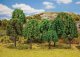 Mixed Forest Trees, ALL Scales, Faller Gmbh 181477