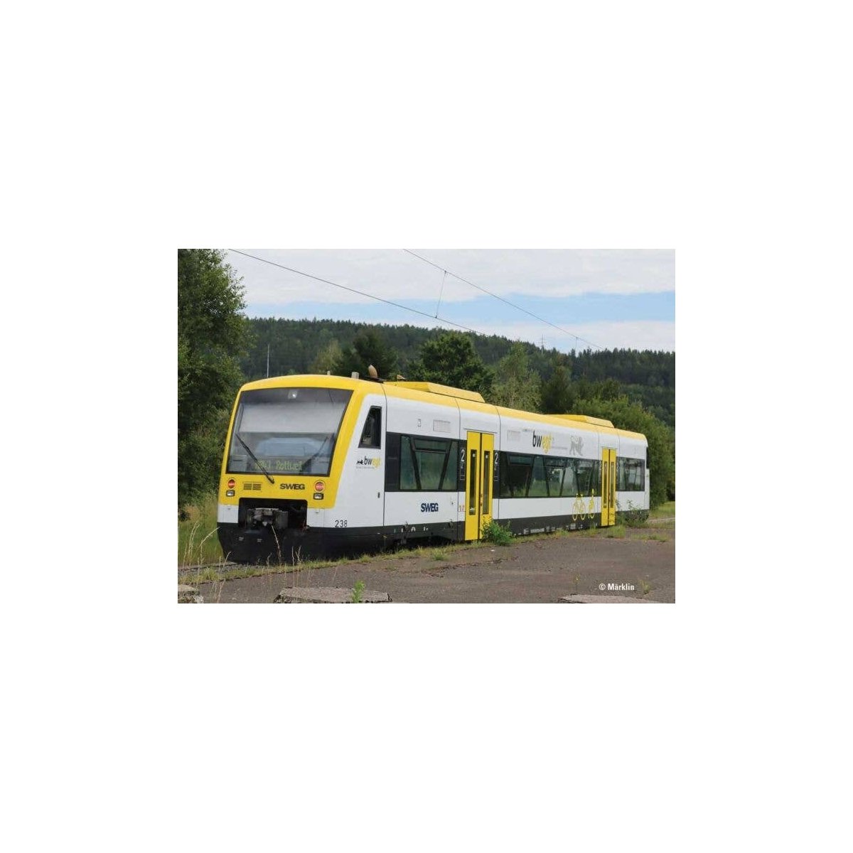 Regio Shuttle RS1 Class 650 Diesel Powered Rail Car - Sound and DCC -- Southwest German Provincial Trans. SWEG 238 (Era VI 2024,